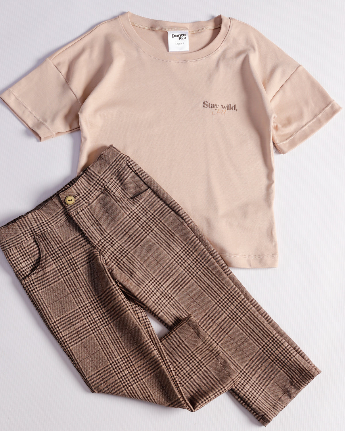 CONJUNTO VICENTE CAMEL