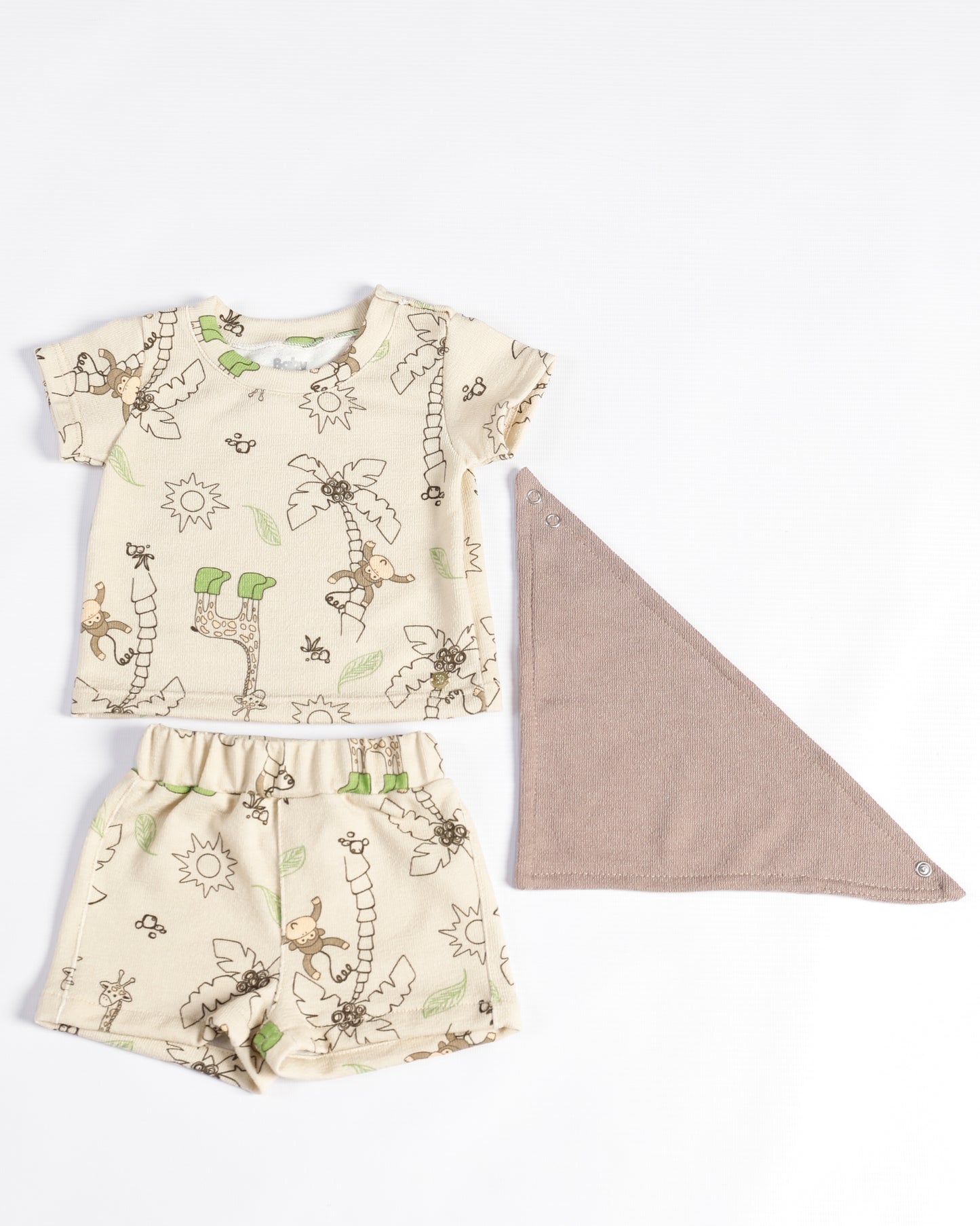 CONJUNTO MARCOS CAMEL