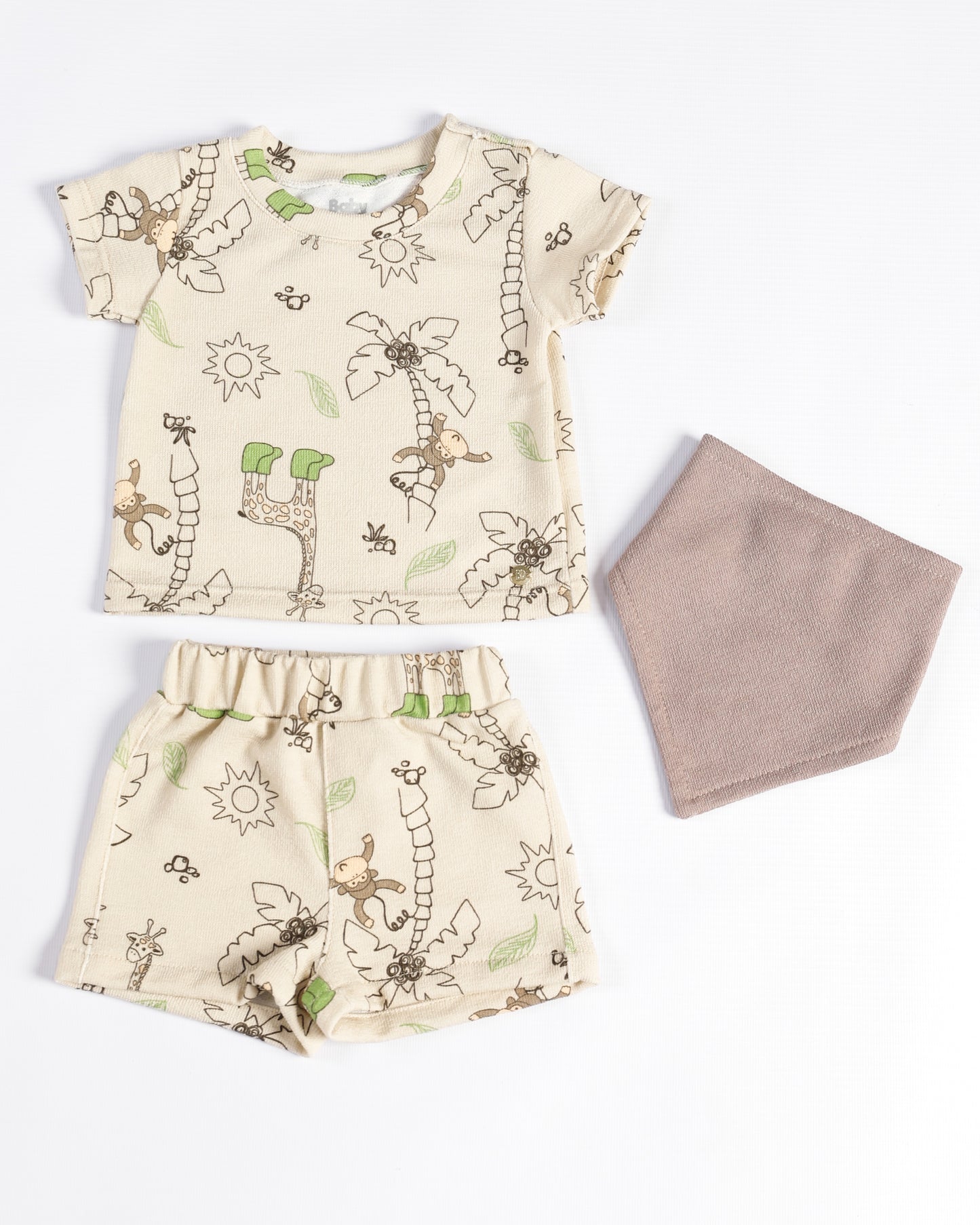 CONJUNTO MARCOS CAMEL
