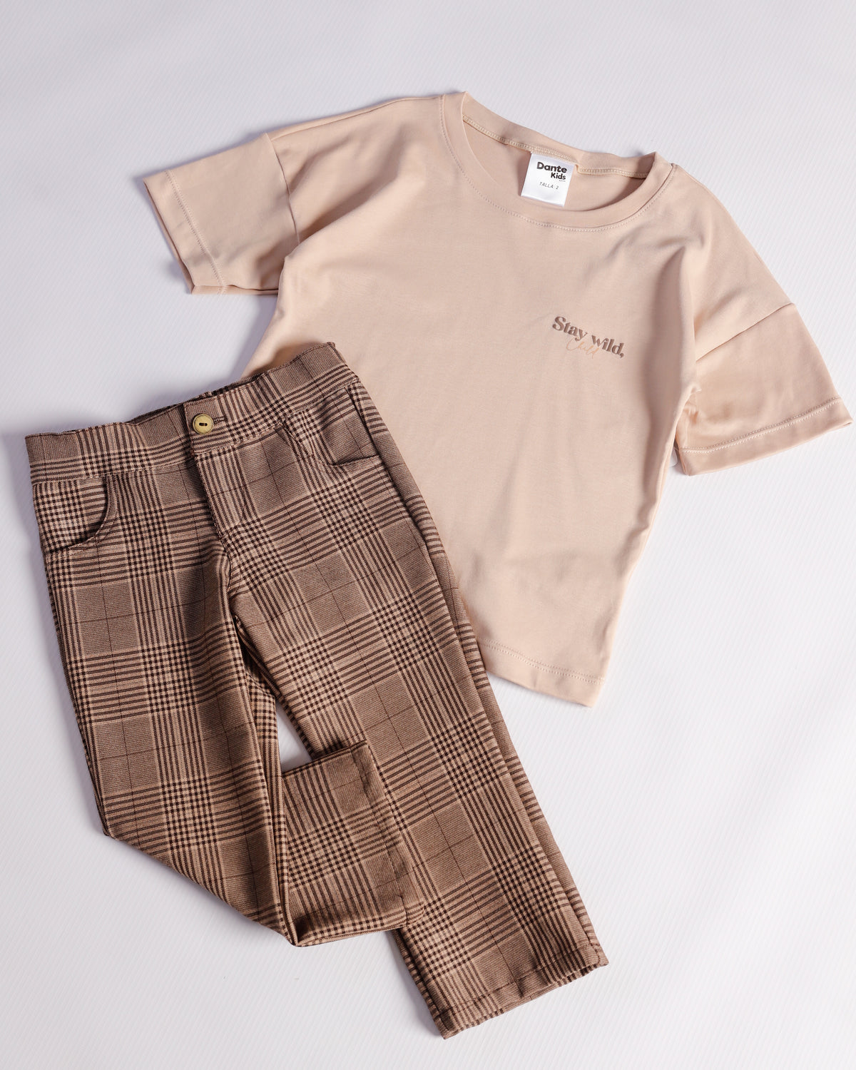 CONJUNTO VICENTE CAMEL